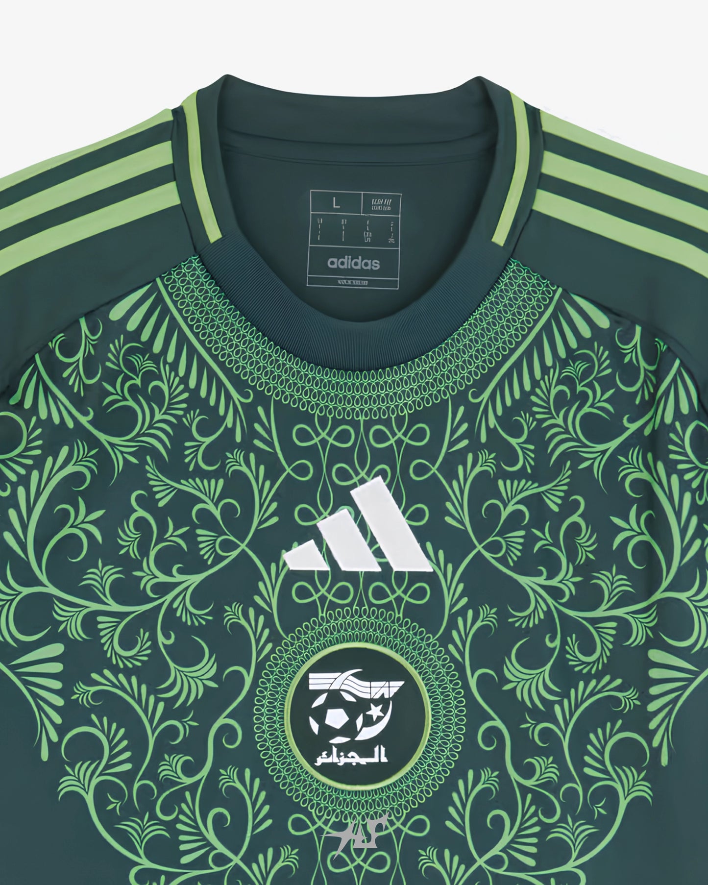 ALGERIA AWAY 2024